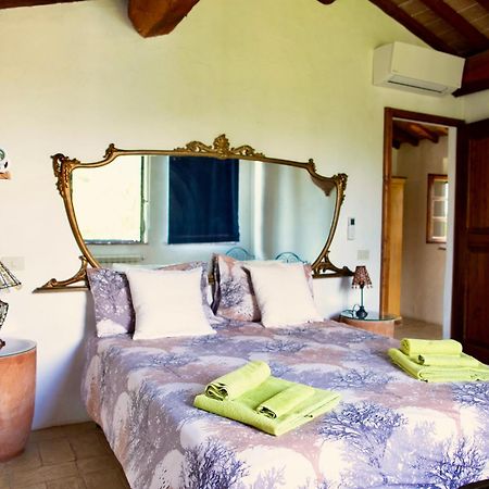 Agriturismo Quarantallina บูอนคอนเวนโต ภายนอก รูปภาพ